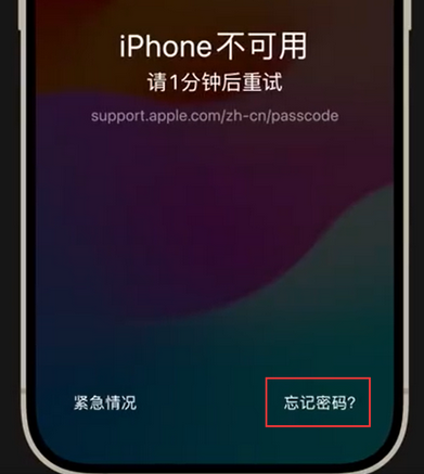 海头镇苹果手机密码维修分享iPhone忘记了刚设置的密码 