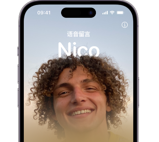 海头镇苹果15服务站分享iPhone15实时语音留言开启方法 