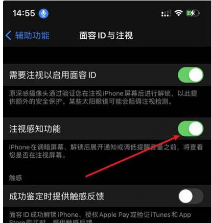 海头镇苹果14维修网点分享iPhone14注视感知功能有什么用 