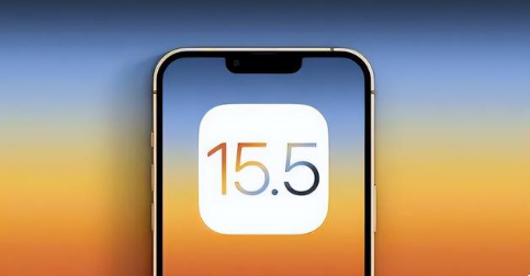海头镇苹果手机维修分享iOS15.5 RC版升级建议 
